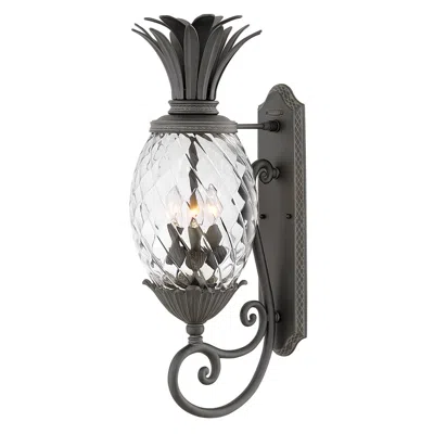 Hinkley Plantation 28" High Pineapple Clear Glass Outdoor Wall Light