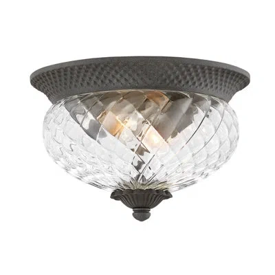 Hinkley Plantation 2-light Aluminum Outdoor Flush Mount Ceiling Light In Museum Black