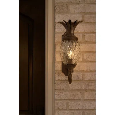 Hinkley Plantation Copper Bronze 1- Light Outdoor Wall Lantern