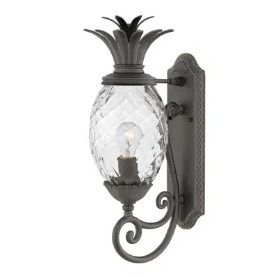 Hinkley Plantation Outdoor Wall Lantern In Museum Black