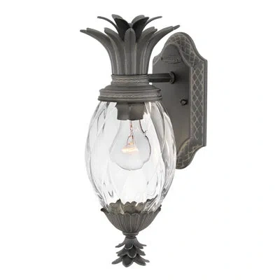 Hinkley Plantation Outdoor Wall Lantern In Museum Black