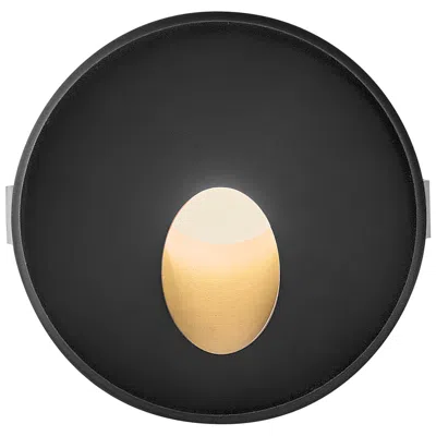 Hinkley Sparta Tilt Led Round Step/wall Light 2.25" Stainless Steel Black