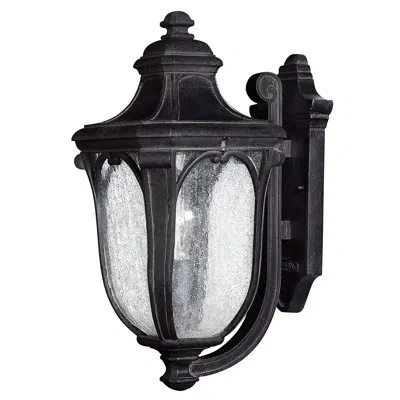Hinkley Trafalgar 1 - Bulb Outdoor Wall Lantern In Museum Black