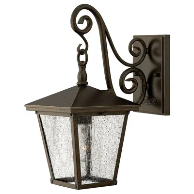 Hinkley Trellis 15 1/4" High Bronze Outdoor Wall Lantern