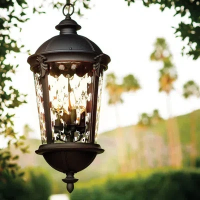 Hinkley Windsor 4-light Aluminum Outdoor Chain-hung Lantern In Black