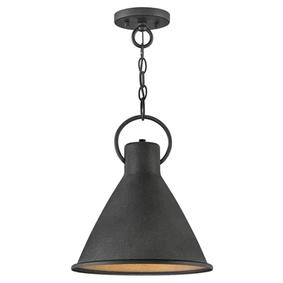 Hinkley Winnie 12" Wide Aged Zinc Mini Pendant Light