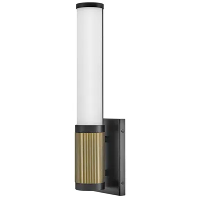 Hinkley Zevi 17 1/2"h Black And Lacquered Brass Led Sconce