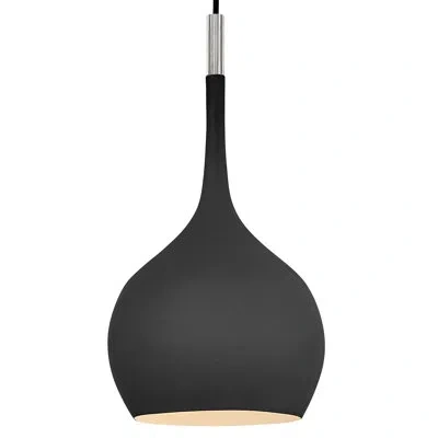 Hinkley Ziggy 1-light Teardrop Pendant With Adjustable Cord In Black