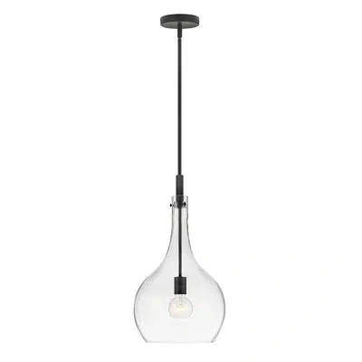 Hinkley Ziggy 23" Single Light Teardrop Pendant W/ Clear Glass In Black