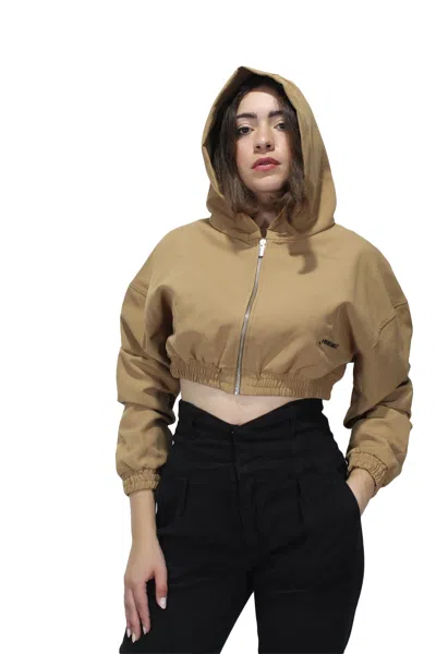 Hinnominate - Brown Coffee Sweatshirt Hnw467