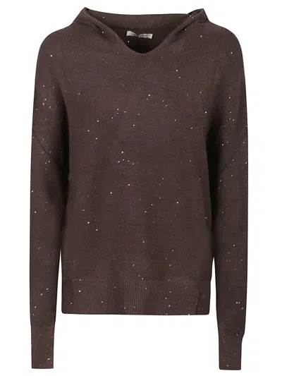 Hinnominate Sweater In Brown