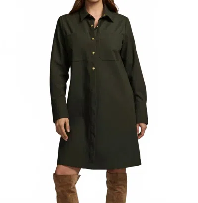 Hinson Wu Astrid Long Sleeve Traveler's Twill Mini Dress In Oregano In Green