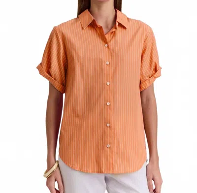 Hinson Wu Lucie Short Sleeve Shirt In Tangerine/white In Orange
