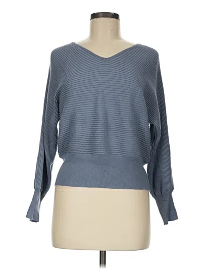 Pre-owned Hippie Rose Pullover Sweater In Blue