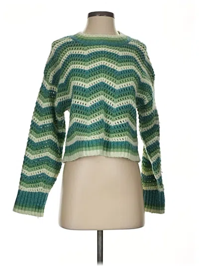 Pre-owned Hippie Rose Pullover Sweater In Green