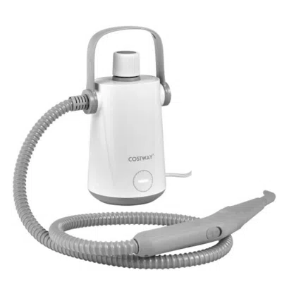 Hivvago 1000w Multifunction Portable Hand-held Steam Cleaner With 10 Accessories-gray In White