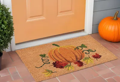 Hivvago 17" X 29" Natural And Orange Coir Pumpkin Outdoor Fall Door Mat In Brown