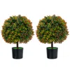 Hivvago 2-pack Artificial Boxwood Topiary Ball Tree With Orange Fruit