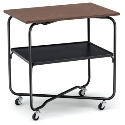 Hivvago 2-tier End Table With Metal Storage Shelf And Foldable Frame-brown