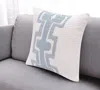 Hivvago 20" Blue And Ivory Cotton Geometric Throw Pillow In Neutral