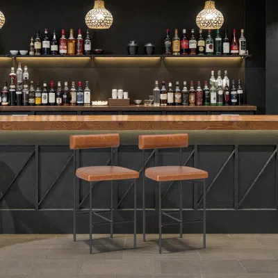 Hivvago 20-inch Counter Height Upholstered Bar Chairs With Supportive Backrests - Set Of 2 In Brown