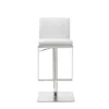 Hivvago 20 " White And Silver Stainless Steel Bar Chair In White