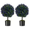 Hivvago 22 Inch Set Of 2 Artificial Purple Rose Topiary Ball Trees With Cement-filled Pot