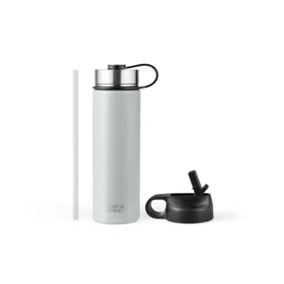 Hivvago 22 oz Double-walled Insulated Stainless Steel Water Bottle With 2 Lids And Straw-gray