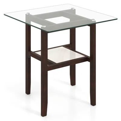 Hivvago 24 Inch 2-tier Square Glass Coffee Table Center Table With Storage Shelf-brown