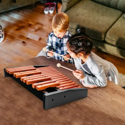 Hivvago 25 Notes Xylophone Wooden Percussion Educational Instrument With 2 Mallets