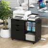 Hivvago 3-drawer File Cabinet With Adjustable Shelf And Wheels For Letter-black
