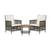 Hivvago 3 Pieces Patio Rattan Furniture Set With Cushioned Sofas And Wood Table Top-white