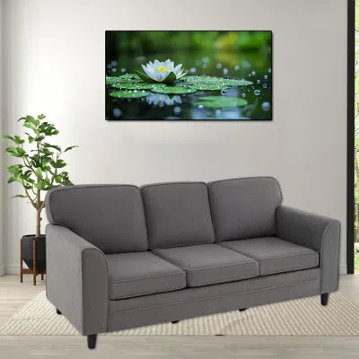 Hivvago 3-seater Upholstered Sofa In Teddy Velvet With Plush Back Cushions In Gray