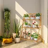 Hivvago 3-tier Bamboo Foldable Plant Stand With Display Shelf Rack-natural