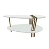 Hivvago 36 Inch Modern Coffee Table, Oval Elliptical Shape, White Mango Wood With Antique Brass In White