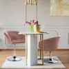Hivvago 360 Degree Swivel Makeup Stool Accent Chair With Round Back And Metal Base-pink
