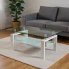 Hivvago 39" Clear And White Glass And Steel Coffee Table With Shelf In White