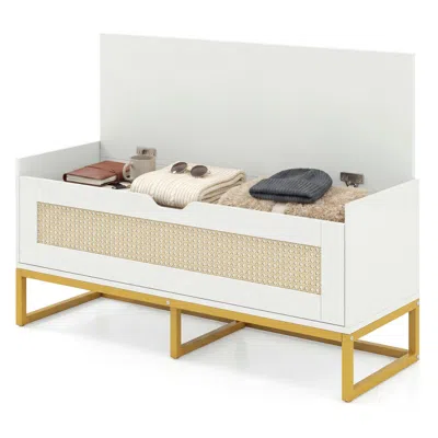 Hivvago 39.5" Rattan Storage Chest Wicker Shoe Bench With Padded Seat Flip-top In White