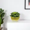 Hivvago 4" Green Succulent Artificial Succulent In A White And Yellow Pot In Yellow