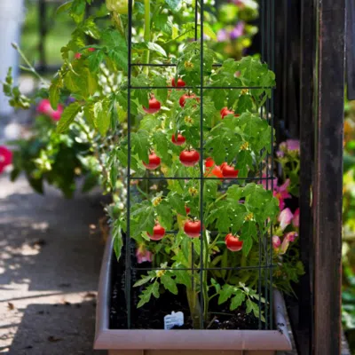 Hivvago 4 Pack Garden Trellis For Climbing Plants For Flower Vegetable In Black