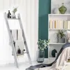 Hivvago 4-tier Wall Leaning Ladder Shelf Stand-gray
