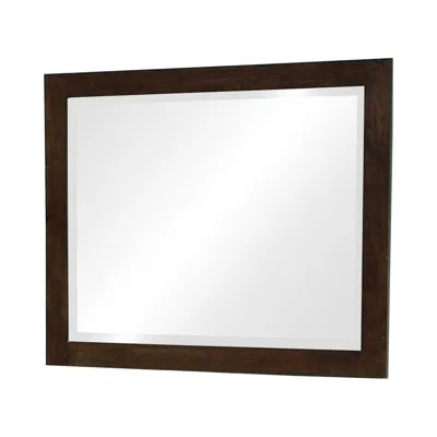 Hivvago 40 Inch Solid Wood Modern Mirror, Portrait, Framed, Cappuccino Brown