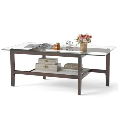 Hivvago 42 Inch Rectangular 2-tier Glass Coffee Table With Storage Shelf-brown