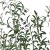 Hivvago 43" Green Olive Artificial Tree In A White Pot In Green