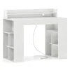 Hivvago 43 Inch Computer Desk With Power Outlets And 2 Bookcases-white
