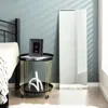 Hivvago 43 X 15 Inch Wall Mounted Frameless Full Length Mirror