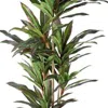 Hivvago 46" Green Dracaena Artificial Tree In A Black Pot In Green