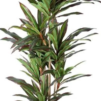 Hivvago 46" Green Dracaena Artificial Tree In A Black Pot