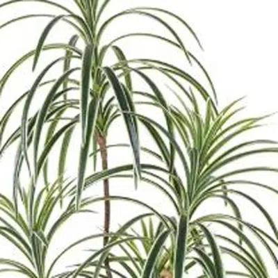 Hivvago 46" Green Dracaena Artificial Tree In A Black Pot