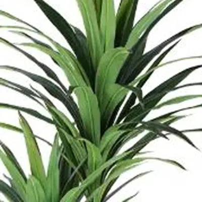 Hivvago 46" Green Yucca Artificial Tree In A Black Pot